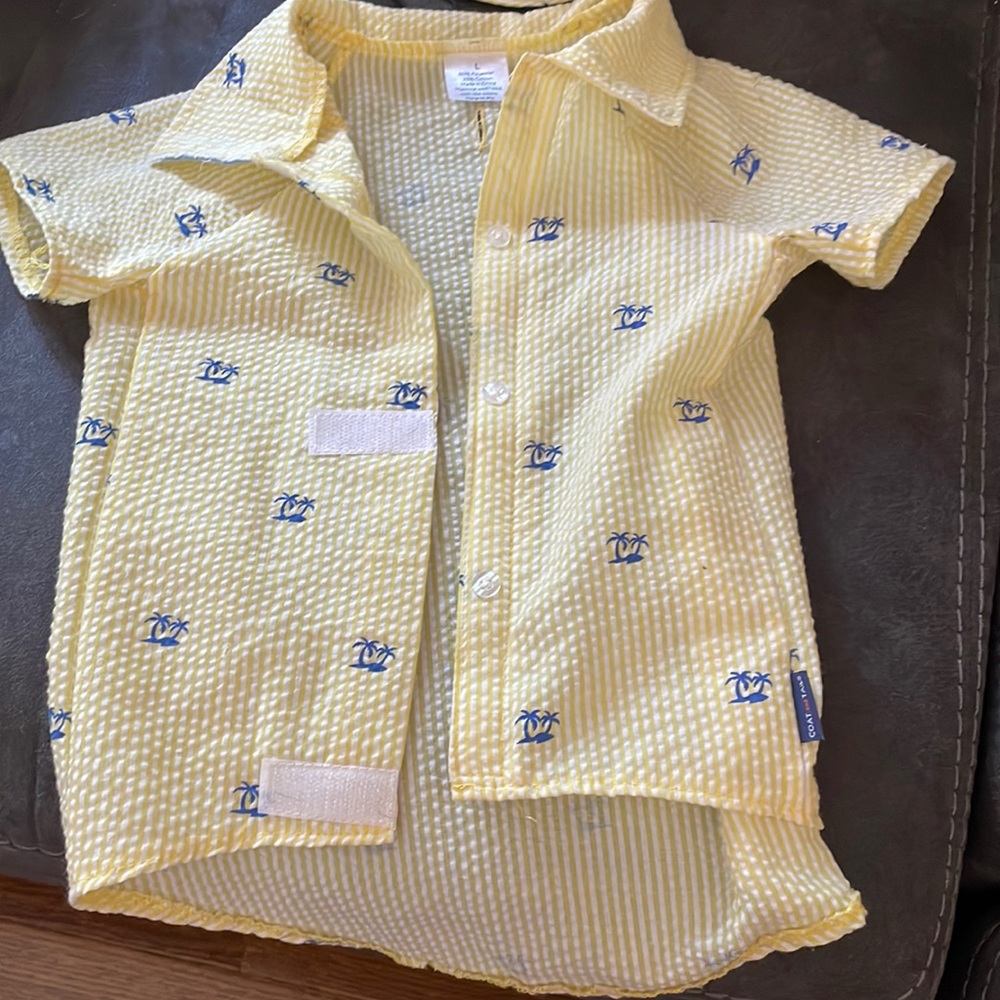 Dog hat and matching tee